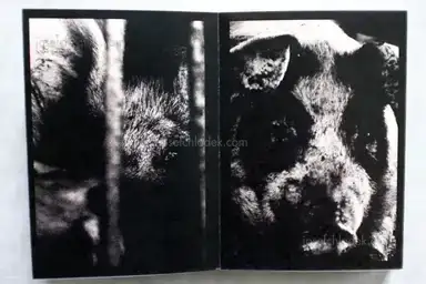 Sample page 14 for book "Iijima, Nozomi – Nozomi Iijima - Scoffing Pig - Book" Sample page 14 for book "Iijima, Nozomi – Nozomi Iijima - Scoffing Pig - Book"