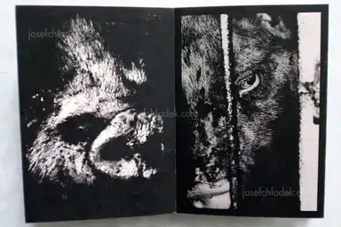 Sample page 13 for book "Iijima, Nozomi – Nozomi Iijima - Scoffing Pig - Book" Sample page 13 for book "Iijima, Nozomi – Nozomi Iijima - Scoffing Pig - Book"