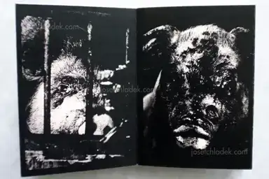 Sample page 11 for book "Iijima, Nozomi – Nozomi Iijima - Scoffing Pig - Book" Sample page 11 for book "Iijima, Nozomi – Nozomi Iijima - Scoffing Pig - Book"