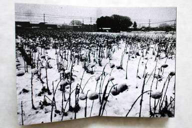 Sample page 7 for book "Iijima, Nozomi – Nozomi Iijima - Scoffing Pig - Book" Sample page 7 for book "Iijima, Nozomi – Nozomi Iijima - Scoffing Pig - Book"