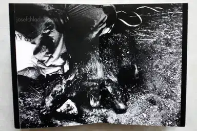 Sample page 5 for book "Iijima, Nozomi – Nozomi Iijima - Scoffing Pig - Book" Sample page 5 for book "Iijima, Nozomi – Nozomi Iijima - Scoffing Pig - Book"