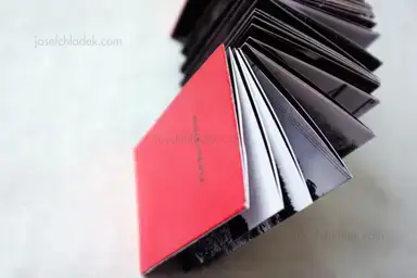 Sample page 1 for book "Iijima, Nozomi – Nozomi Iijima - Scoffing Pig - Book" Sample page 1 for book "Iijima, Nozomi – Nozomi Iijima - Scoffing Pig - Book"