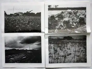 Sample page 6 for book "Iijima, Nozomi – Nozomi Iijima - Scoffing Pig - Newsprint" Sample page 6 for book "Iijima, Nozomi – Nozomi Iijima - Scoffing Pig - Newsprint"