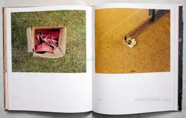 Sample page 5 for book "Griffin, Kevin – Kevin Griffin - Omey Island - “Last Man Standing“" Sample page 5 for book "Griffin, Kevin – Kevin Griffin - Omey Island - “Last Man Standing“"