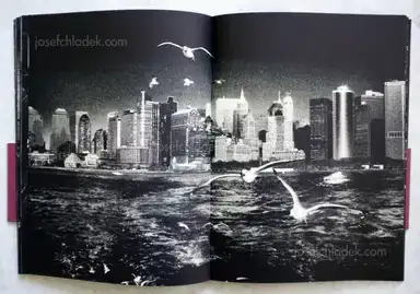 Sample page 5 for book "Bitesnich, Andreas – Andreas H. Bitesnich - Deeper Shades #01 New York" Sample page 5 for book "Bitesnich, Andreas – Andreas H. Bitesnich - Deeper Shades #01 New York"