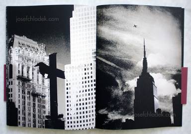 Sample page 7 for book Andreas H. Bitesnich – Deeper Shades #01 New York