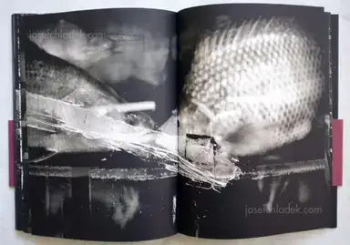 Sample page 3 for book "Bitesnich, Andreas – Andreas H. Bitesnich - Deeper Shades #01 New York" Sample page 3 for book "Bitesnich, Andreas – Andreas H. Bitesnich - Deeper Shades #01 New York"