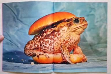 Sample page 6 for book "Cattelan, Maurizio – Maurizio Cattelan - Toilet Paper #7 " Sample page 6 for book "Cattelan, Maurizio – Maurizio Cattelan - Toilet Paper #7 "