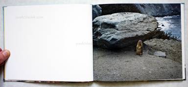 Sample page 3 for book  Ed Panar – Animals That Saw Me: Volume One