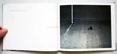 Sample page 4 for book "Panar, Ed – Ed Panar - Animals That Saw Me: Volume One" Sample page 4 for book "Panar, Ed – Ed Panar - Animals That Saw Me: Volume One"