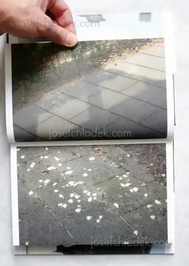 Sample page 13 for book "van Roekel, Florian – Florian van Roekel - Fear of Fall" Sample page 13 for book "van Roekel, Florian – Florian van Roekel - Fear of Fall"