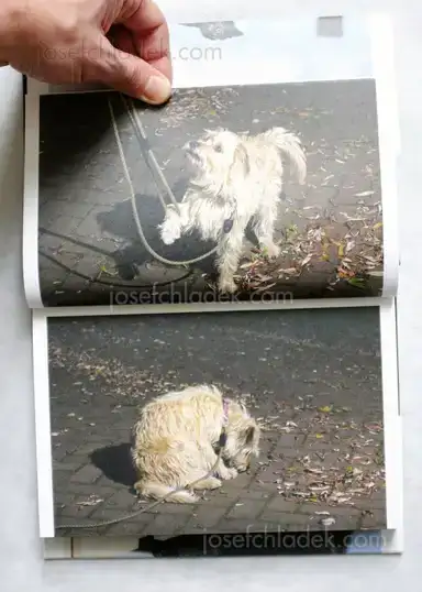 Sample page 12 for book "van Roekel, Florian – Florian van Roekel - Fear of Fall" Sample page 12 for book "van Roekel, Florian – Florian van Roekel - Fear of Fall"