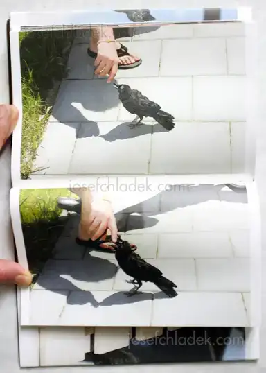 Sample page 4 for book "van Roekel, Florian – Florian van Roekel - Fear of Fall" Sample page 4 for book "van Roekel, Florian – Florian van Roekel - Fear of Fall"