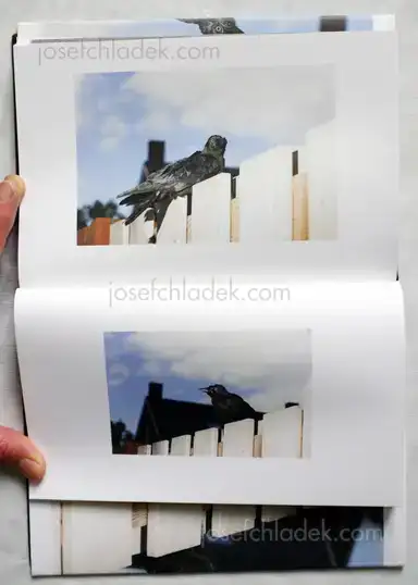 Sample page 3 for book "van Roekel, Florian – Florian van Roekel - Fear of Fall" Sample page 3 for book "van Roekel, Florian – Florian van Roekel - Fear of Fall"