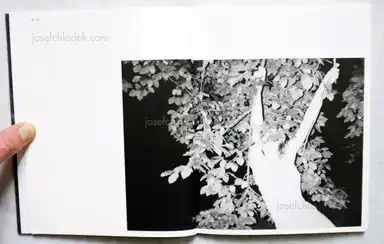 Sample page 8 for book "Grass, Lena – Lena Grass - Nachtigall" Sample page 8 for book "Grass, Lena – Lena Grass - Nachtigall"