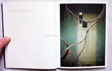 Sample page 7 for book "Grass, Lena – Lena Grass - Nachtigall" Sample page 7 for book "Grass, Lena – Lena Grass - Nachtigall"