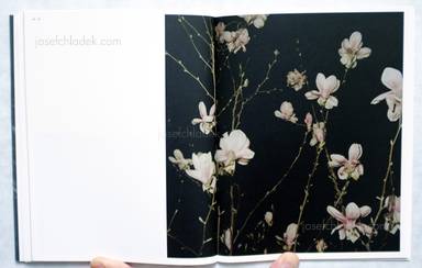 Sample page 4 for book "Grass, Lena – Lena Grass - Nachtigall" Sample page 4 for book "Grass, Lena – Lena Grass - Nachtigall"