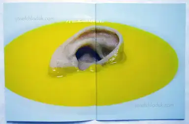 Sample page 9 for book "Cattelan, Maurizio – Maurizio Cattelan - Toilet Paper #1" Sample page 9 for book "Cattelan, Maurizio – Maurizio Cattelan - Toilet Paper #1"