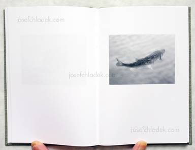 Sample page 5 for book "Lange, Mårten – Mårten Lange - Another Language" Sample page 5 for book "Lange, Mårten – Mårten Lange - Another Language"