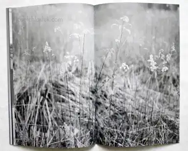 Sample page 2 for book "Mazzoni, Michel – Michel Mazzoni - White Noise" Sample page 2 for book "Mazzoni, Michel – Michel Mazzoni - White Noise"