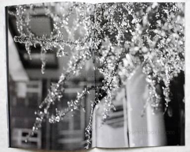 Sample page 7 for book "Mazzoni, Michel – Michel Mazzoni - White Noise" Sample page 7 for book "Mazzoni, Michel – Michel Mazzoni - White Noise"