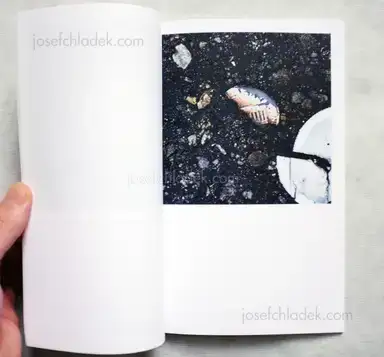 Sample page 6 for book "Zschiegner, Hermann – Hermann Zschiegner - 25¢" Sample page 6 for book "Zschiegner, Hermann – Hermann Zschiegner - 25¢"