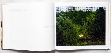 Sample page 5 for book "Gronsky, Alexander – Alexander Gronsky - Pastoral" Sample page 5 for book "Gronsky, Alexander – Alexander Gronsky - Pastoral"