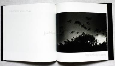 Sample page 9 for book  Masahisa Fukase &ndash; Karasu (The Solitude of Ravens)