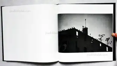 Sample page 2 for book "Fukase, Masahisa – Masahisa Fukase - Karasu (The Solitude of Ravens) 深瀬昌久『鴉』" Sample page 2 for book "Fukase, Masahisa – Masahisa Fukase - Karasu (The Solitude of Ravens) 深瀬昌久『鴉』"