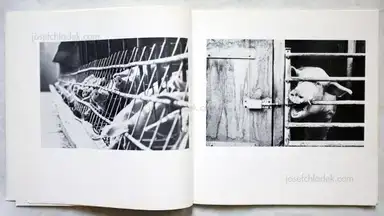 Sample page 12 for book "Schönwiese, Jürgen – Jürgen Schönwiese - Sau" Sample page 12 for book "Schönwiese, Jürgen – Jürgen Schönwiese - Sau"