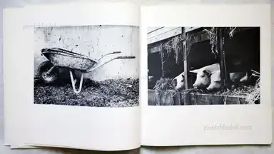 Sample page 11 for book "Schönwiese, Jürgen – Jürgen Schönwiese - Sau" Sample page 11 for book "Schönwiese, Jürgen – Jürgen Schönwiese - Sau"