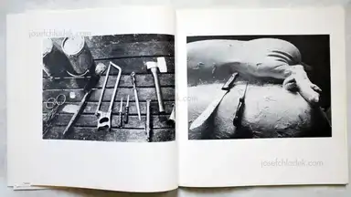 Sample page 8 for book "Schönwiese, Jürgen – Jürgen Schönwiese - Sau" Sample page 8 for book "Schönwiese, Jürgen – Jürgen Schönwiese - Sau"