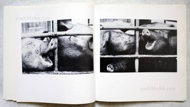 Sample page 6 for book "Schönwiese, Jürgen – Jürgen Schönwiese - Sau" Sample page 6 for book "Schönwiese, Jürgen – Jürgen Schönwiese - Sau"