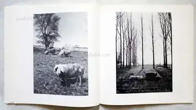 Sample page 4 for book "Schönwiese, Jürgen – Jürgen Schönwiese - Sau" Sample page 4 for book "Schönwiese, Jürgen – Jürgen Schönwiese - Sau"