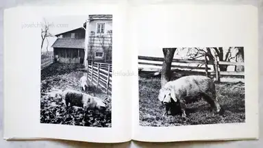 Sample page 3 for book "Schönwiese, Jürgen – Jürgen Schönwiese - Sau" Sample page 3 for book "Schönwiese, Jürgen – Jürgen Schönwiese - Sau"