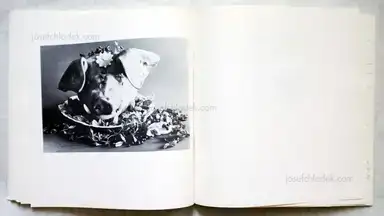 Sample page 1 for book "Schönwiese, Jürgen – Jürgen Schönwiese - Sau" Sample page 1 for book "Schönwiese, Jürgen – Jürgen Schönwiese - Sau"