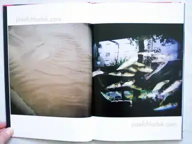 Sample page 6 for book "Goldberg, Katinka – Katinka Goldberg - Surfacing" Sample page 6 for book "Goldberg, Katinka – Katinka Goldberg - Surfacing"