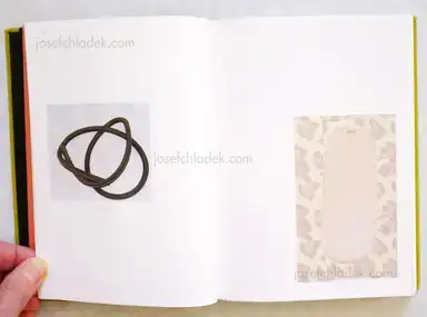 Sample page 9 for book "Rigolini, Luciano – Luciano Rigolini - Surrogates" Sample page 9 for book "Rigolini, Luciano – Luciano Rigolini - Surrogates"