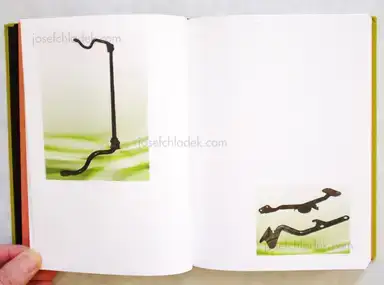 Sample page 8 for book "Rigolini, Luciano – Luciano Rigolini - Surrogates" Sample page 8 for book "Rigolini, Luciano – Luciano Rigolini - Surrogates"