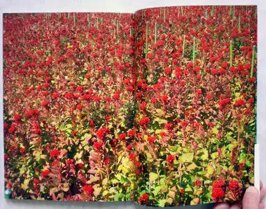 Sample page 1 for book "Uchihara, Yasuhiko – Yasuhiko Uchihara - Son of a bit" Sample page 1 for book "Uchihara, Yasuhiko – Yasuhiko Uchihara - Son of a bit"