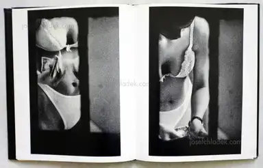 Sample page 5 for book "Alpern, Merry – Merry Alpern - Dirty Window" Sample page 5 for book "Alpern, Merry – Merry Alpern - Dirty Window"