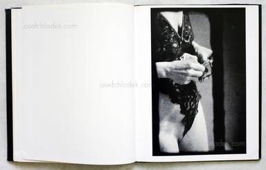 Sample page 3 for book "Alpern, Merry – Merry Alpern - Dirty Window" Sample page 3 for book "Alpern, Merry – Merry Alpern - Dirty Window"