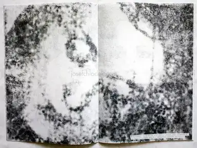 Sample page 7 for book "Fieiras, Veronica – Veronica Fieiras - the disappeared (second edition)" Sample page 7 for book "Fieiras, Veronica – Veronica Fieiras - the disappeared (second edition)"