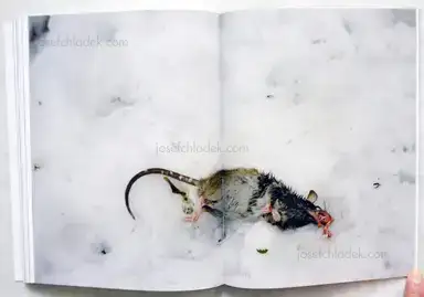 Sample page 1 for book "Gnaudschun, Göran – Göran Gnaudschun - Alexanderplatz" Sample page 1 for book "Gnaudschun, Göran – Göran Gnaudschun - Alexanderplatz"