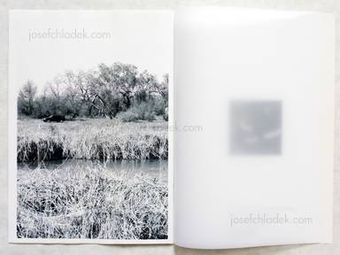 Sample page 2 for book "Medina, Andrés – Andrés Medina - Tránsito" Sample page 2 for book "Medina, Andrés – Andrés Medina - Tránsito"