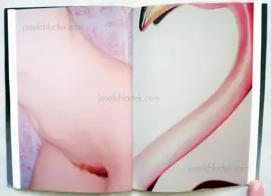 Sample page 4 for book "McElroy, Aaron – Aaron McElroy - SPBN Aaron McElroy" Sample page 4 for book "McElroy, Aaron – Aaron McElroy - SPBN Aaron McElroy"