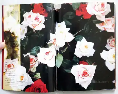 Sample page 1 for book "Hiromix – Hiromix - Girls Blue (ロッキングオン ヒロミックス)" Sample page 1 for book "Hiromix – Hiromix - Girls Blue (ロッキングオン ヒロミックス)"