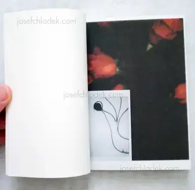 Sample page 8 for book "Lialios, Christos – Christos Lialios - Same but different" Sample page 8 for book "Lialios, Christos – Christos Lialios - Same but different"