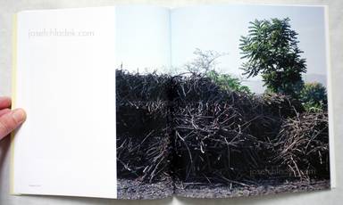 Sample page 6 for book  Jackie Nickerson – Contact Sheet 174 - Terrain