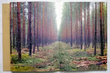 Sample page 11 for book "Cunha, Fábio – Fábio Cunha - Almost Fiction" Sample page 11 for book "Cunha, Fábio – Fábio Cunha - Almost Fiction"